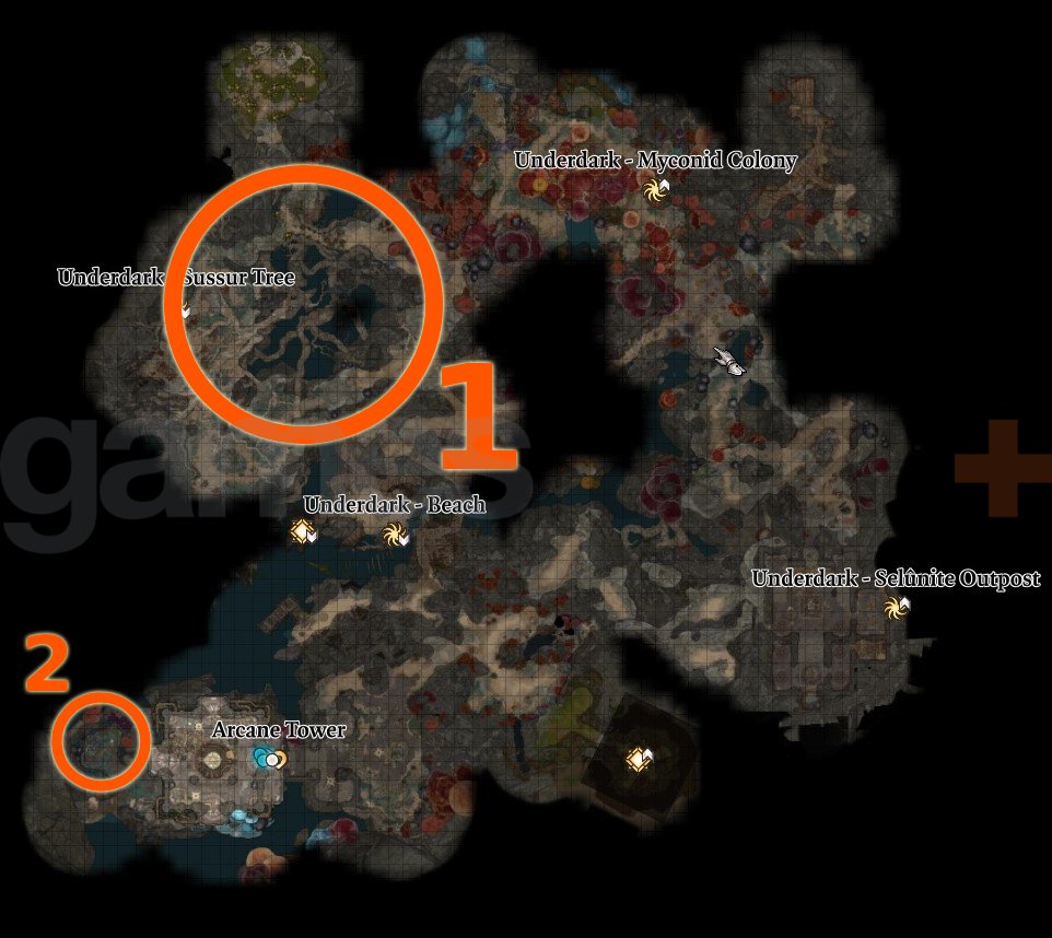 Baldur's Gate 3 sussur bloom