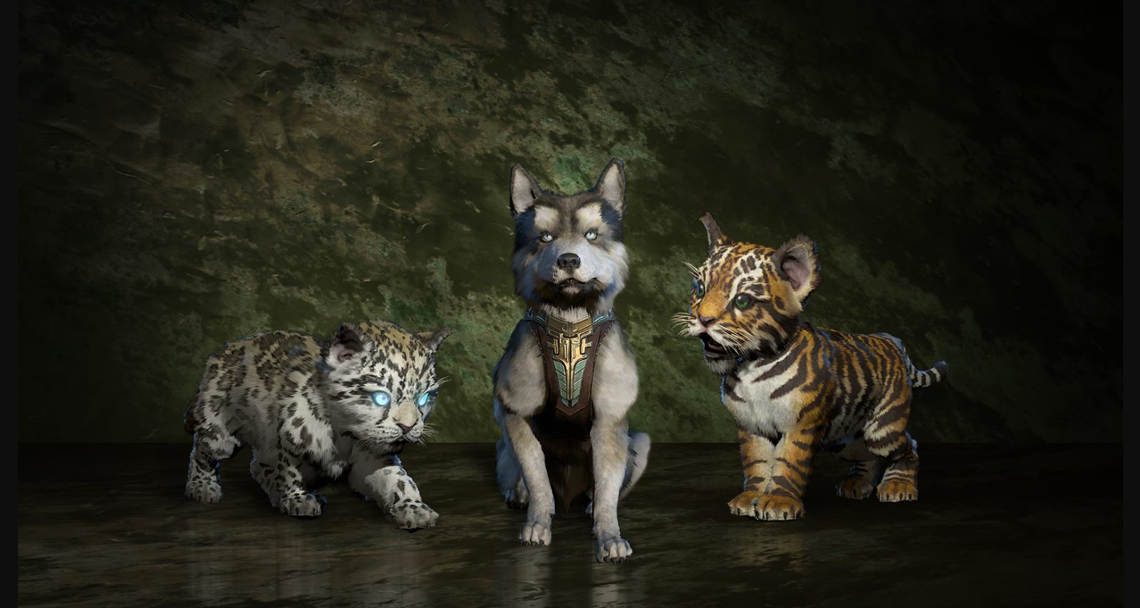 Diablo 4 pets