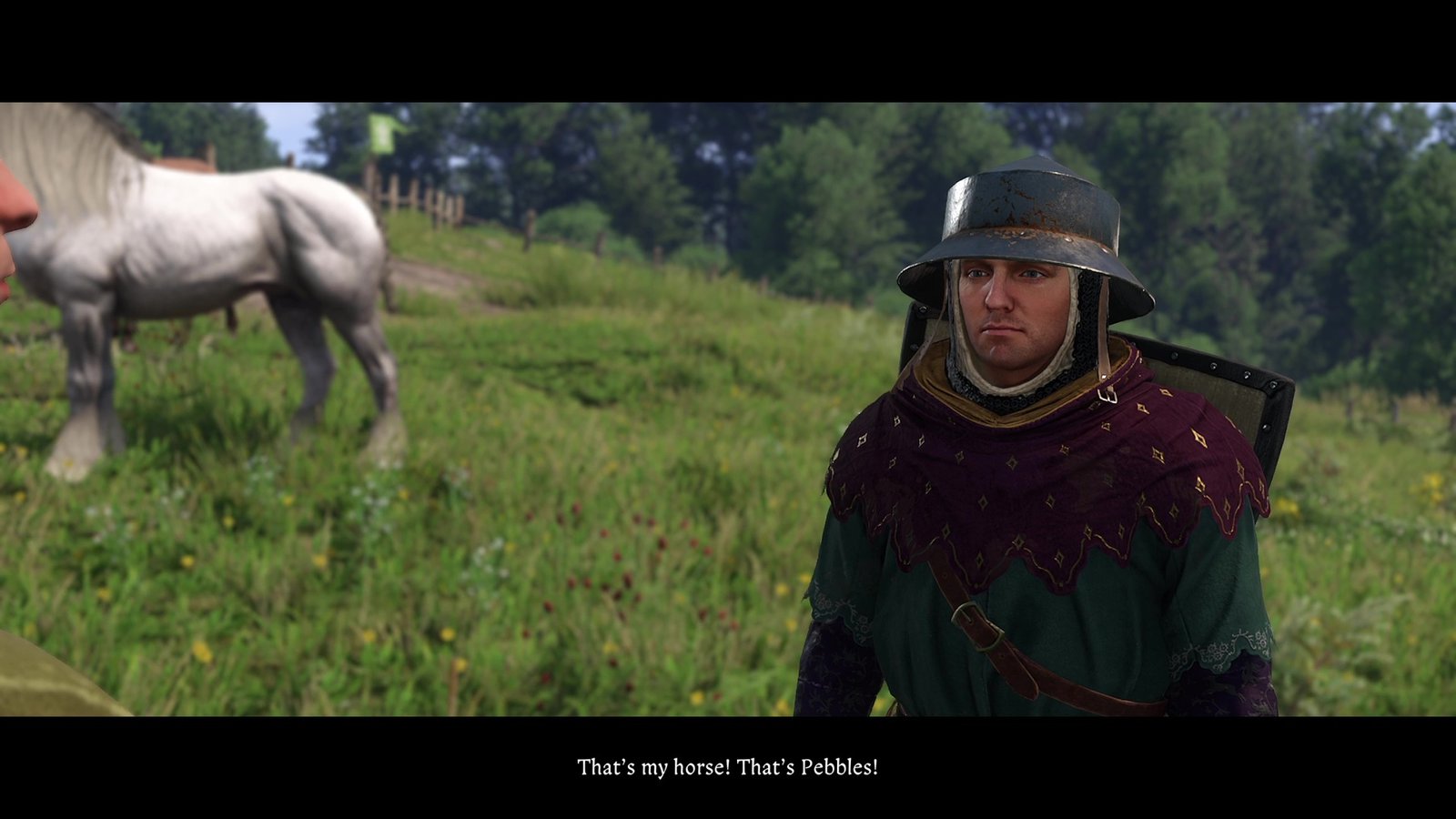 Бесплатная лошадь в Kingdom Come Deliverance 2